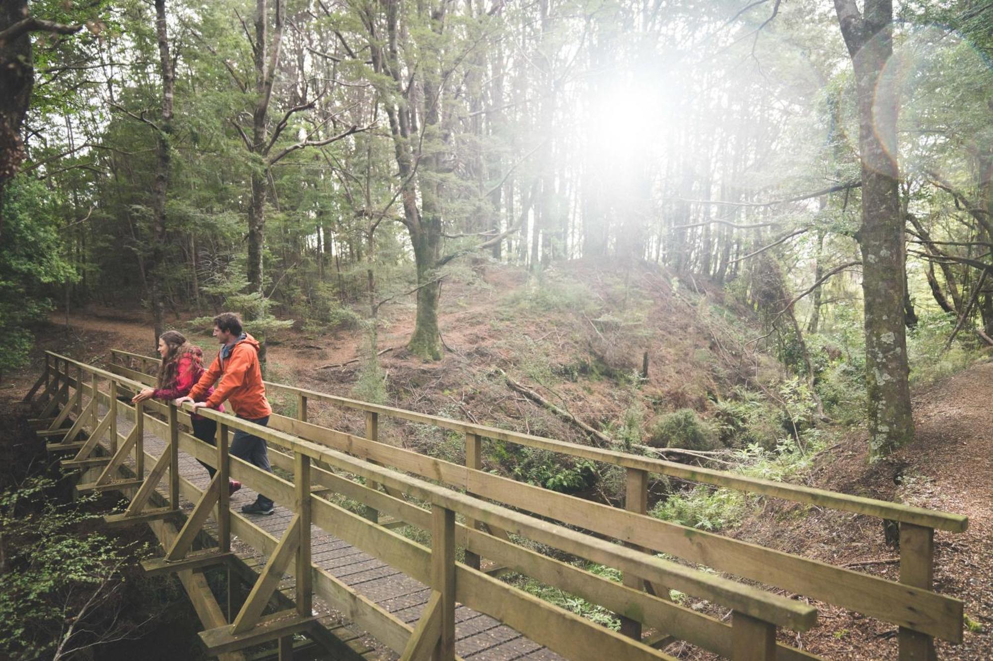 Fiordland National Park Lodge Te Anau Downs Esterno foto